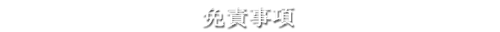 免責事項